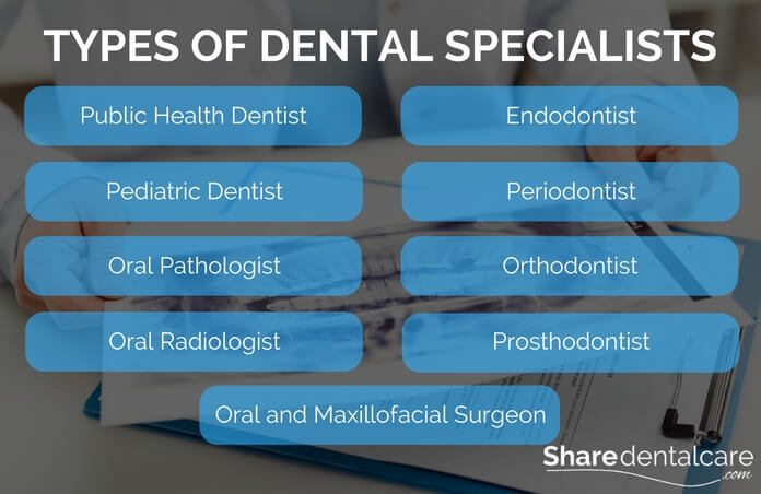 Dentist |Types of Dental Specialists