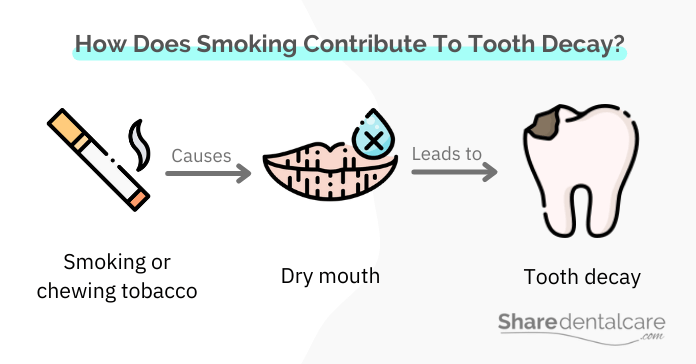 Smoking causes dry mouth, leading to tooth decay and damage
