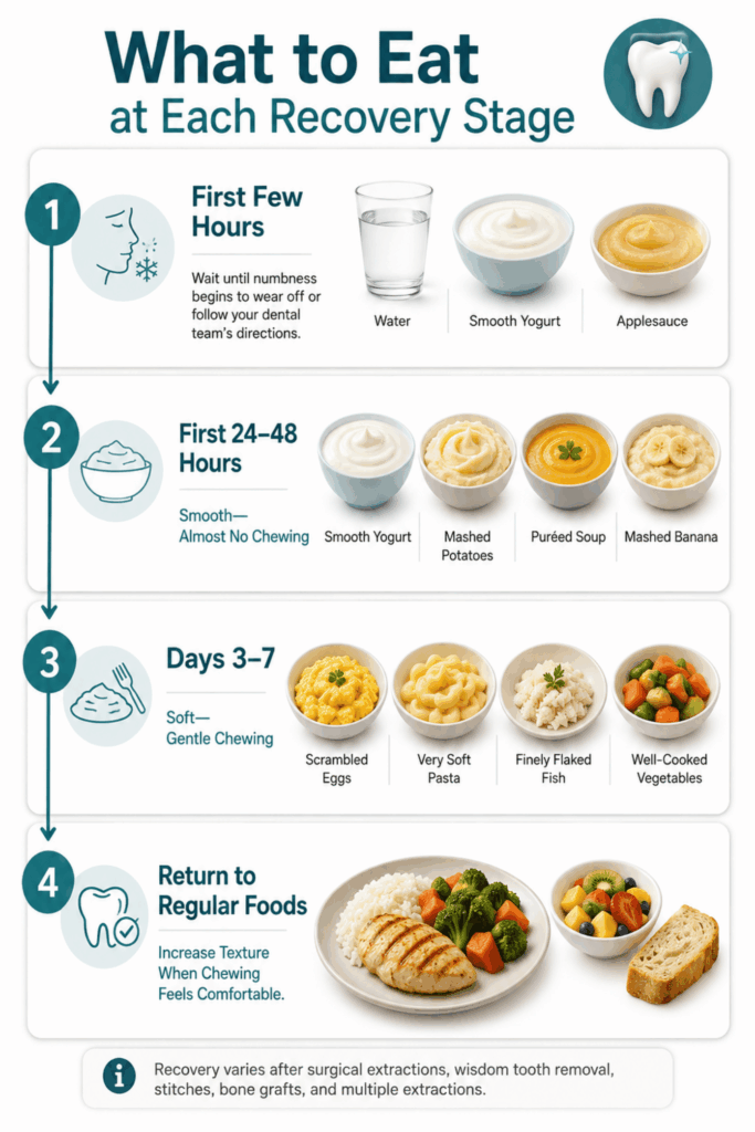 Soft foods to eat after tooth extraction progress from smooth first-day choices to regular meals as comfort improves